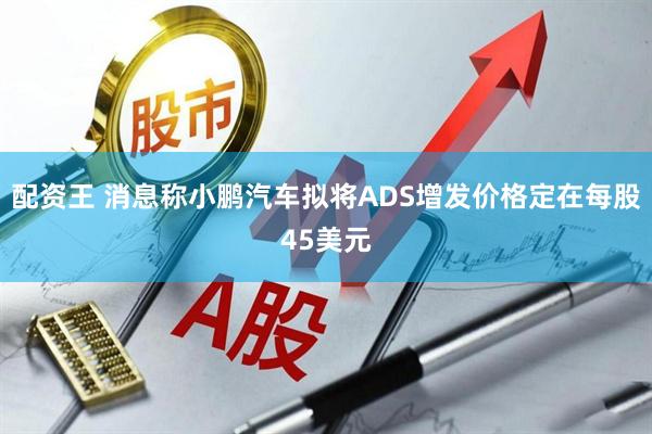 配资王 消息称小鹏汽车拟将ADS增发价格定在每股45美元