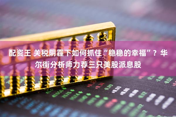 配资王 关税阴霾下如何抓住“稳稳的幸福”？华尔街分析师力荐三只美股派息股